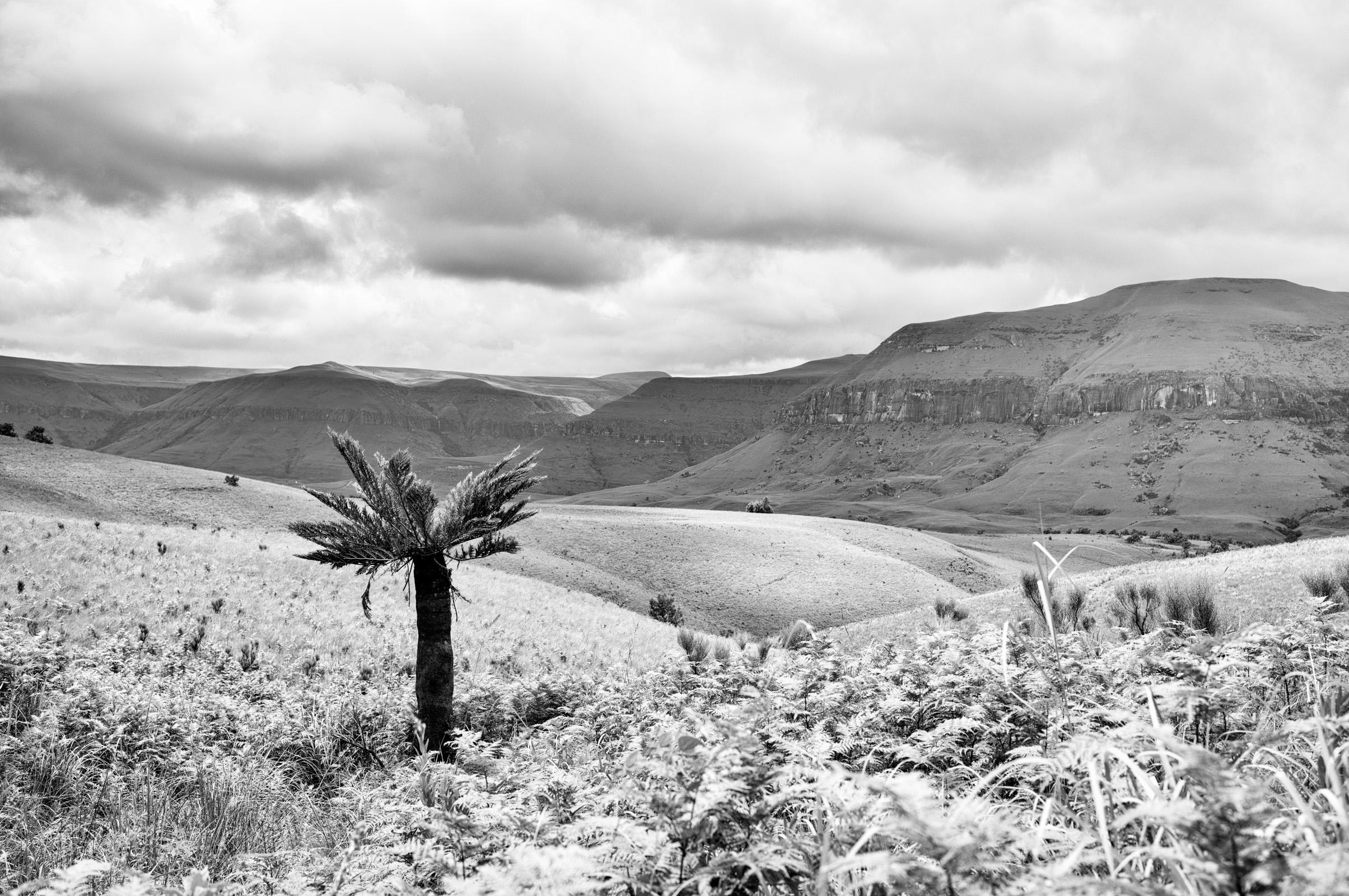 Drakensberg