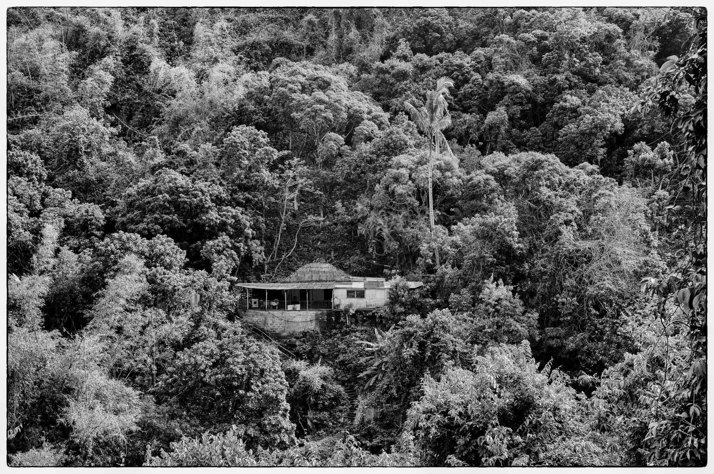 Refuge dans la Canopée