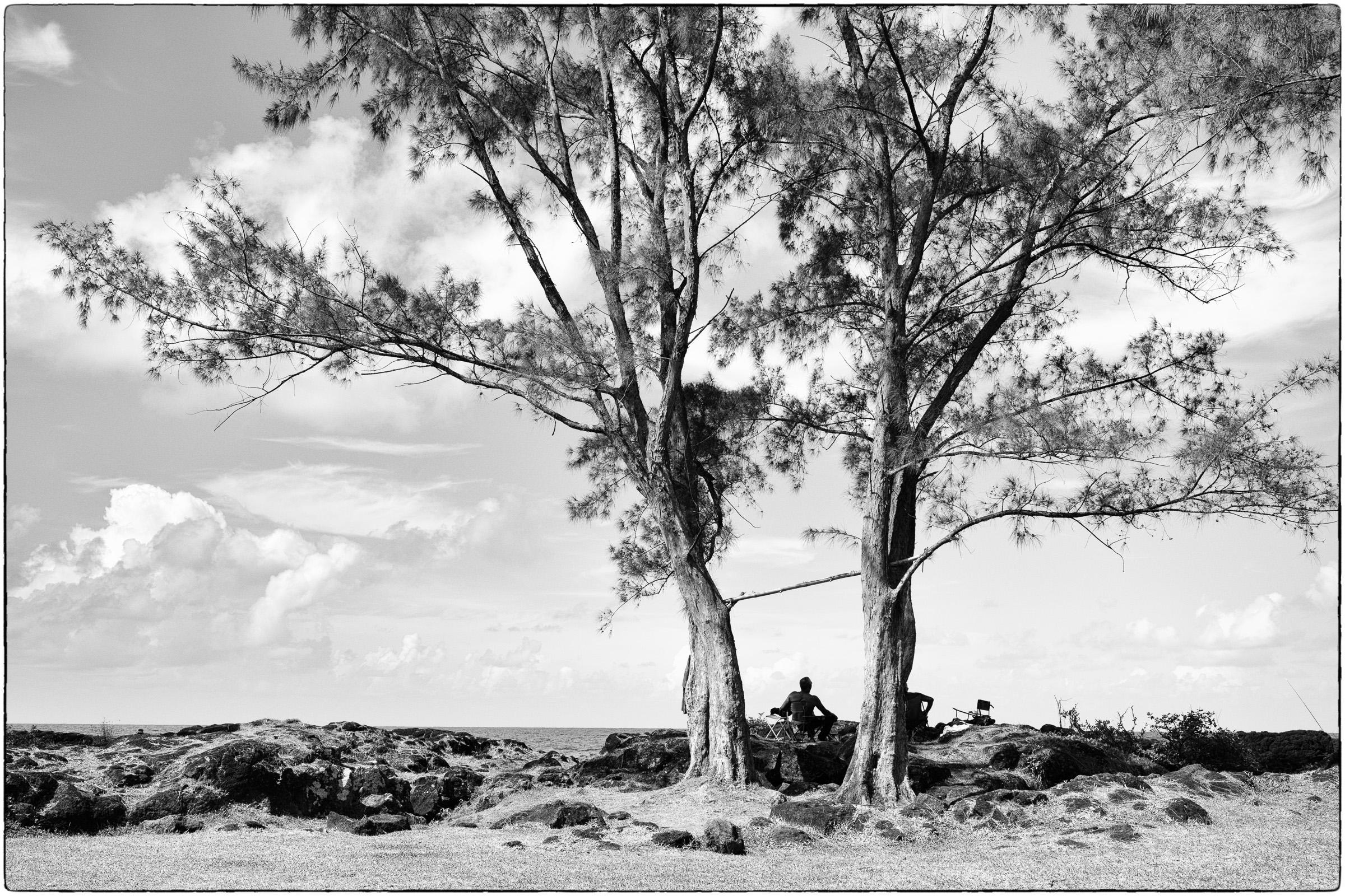 Pique-nique réunionnais