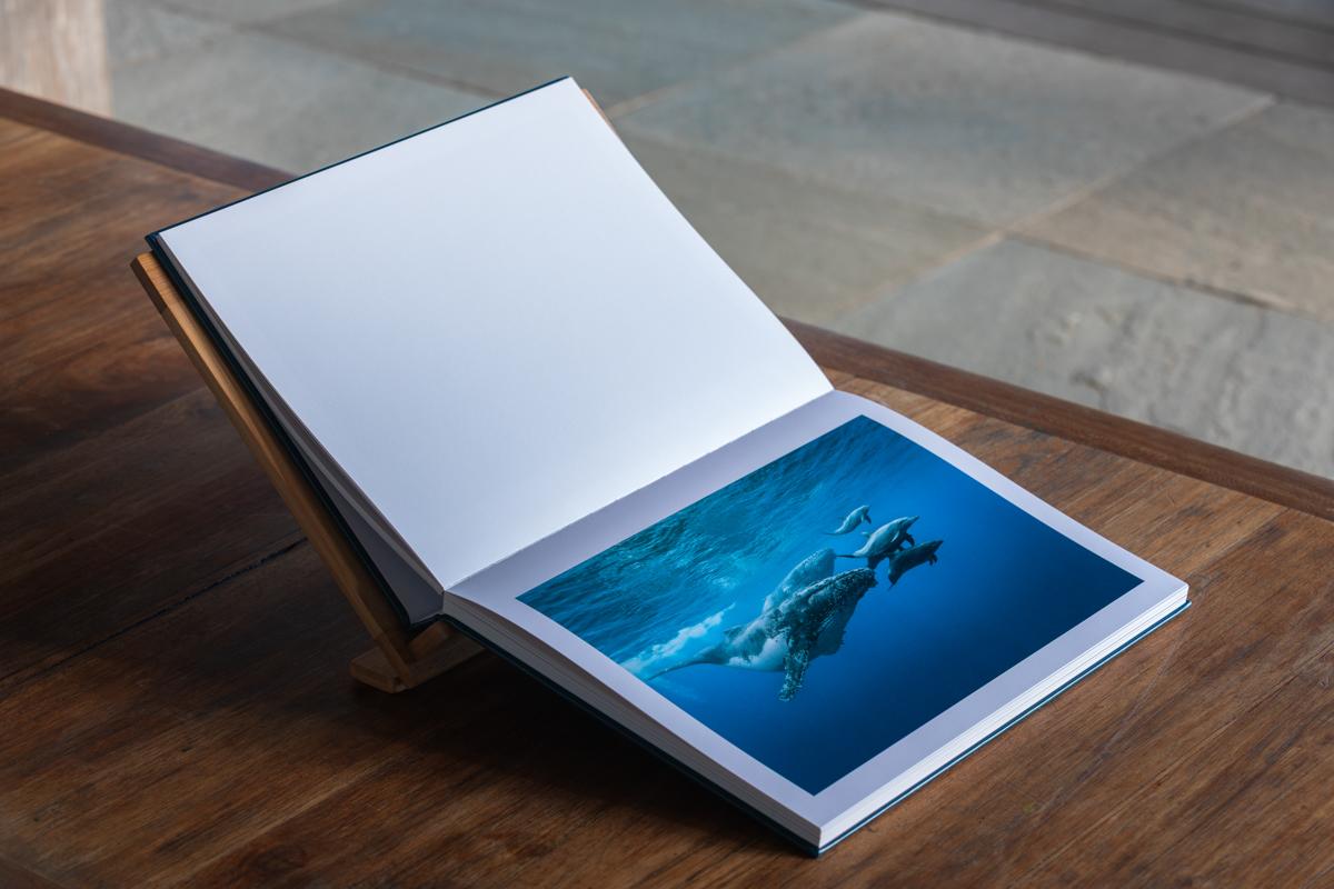 Dans l'intimité des baleines