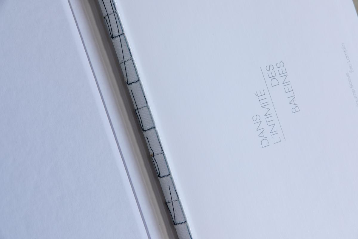 Dans l'intimité des baleines