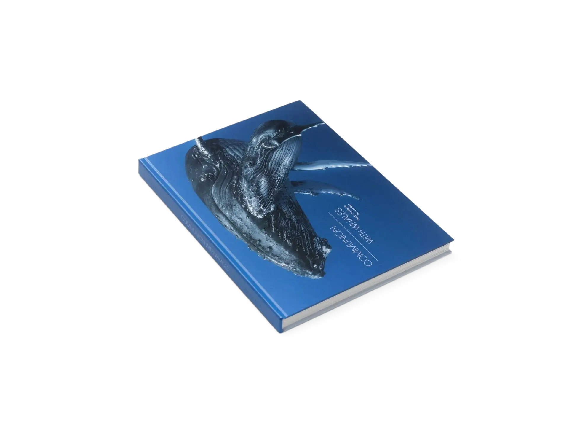 Couverture — Dans l'intimité des baleines