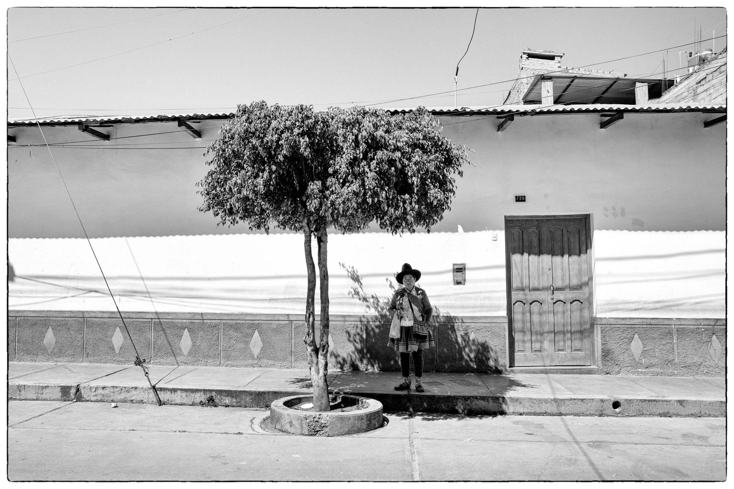 Femme à l'Ombre de l'Arbre