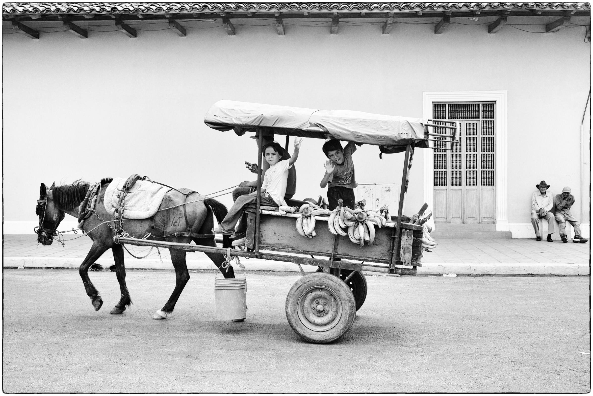 Le Vendeur de Bananes
