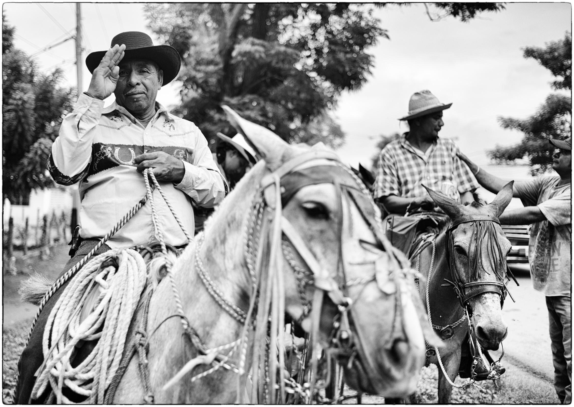 Cavaliers de la Cordillère