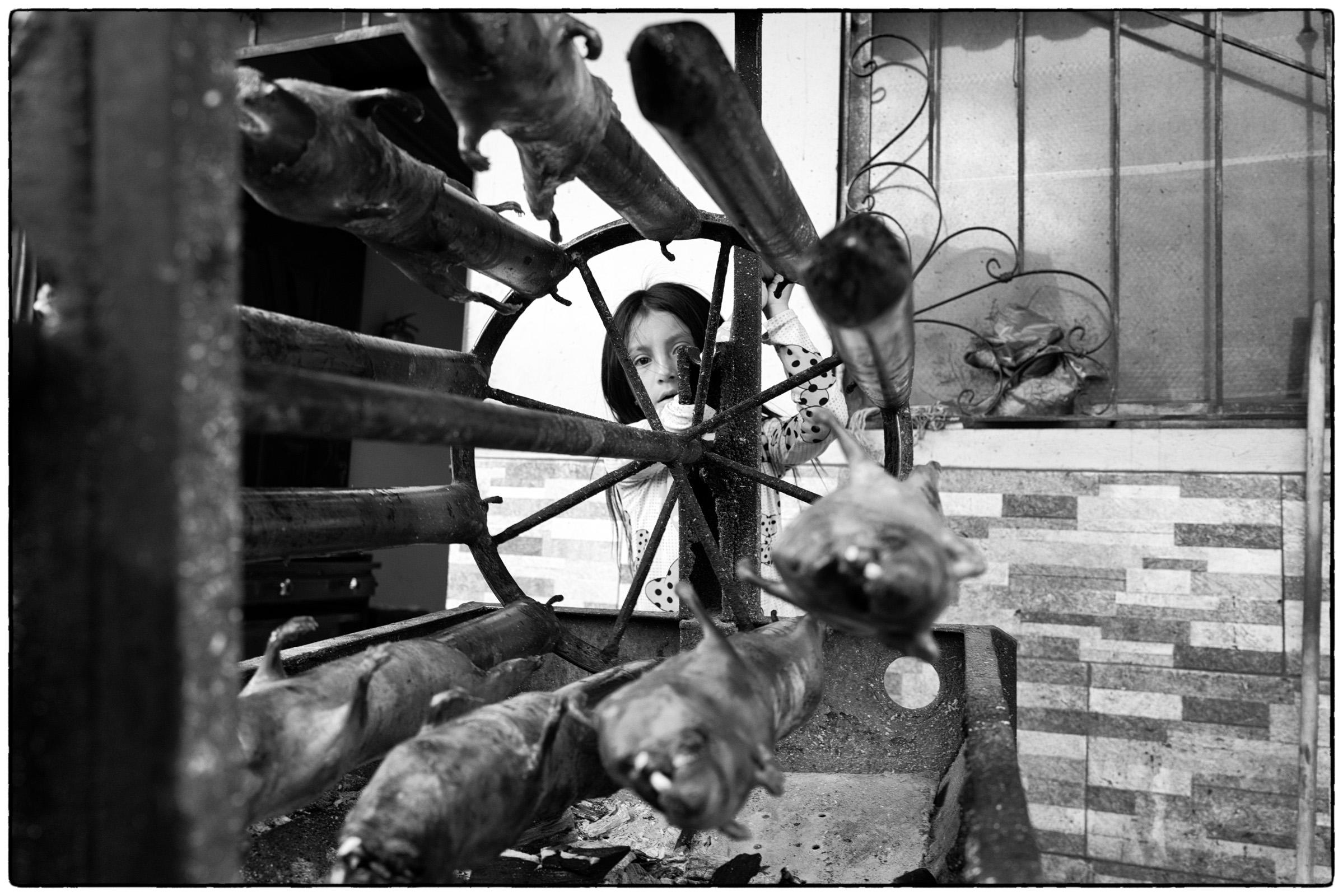 Cochon d'Inde grillé