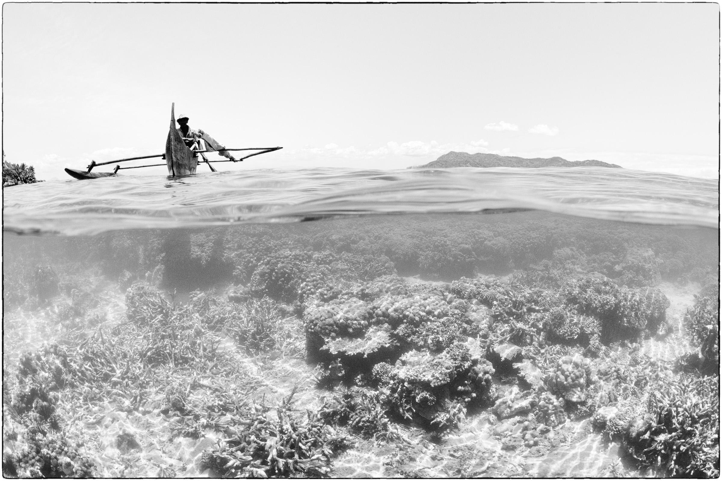 le solitaire du Récif