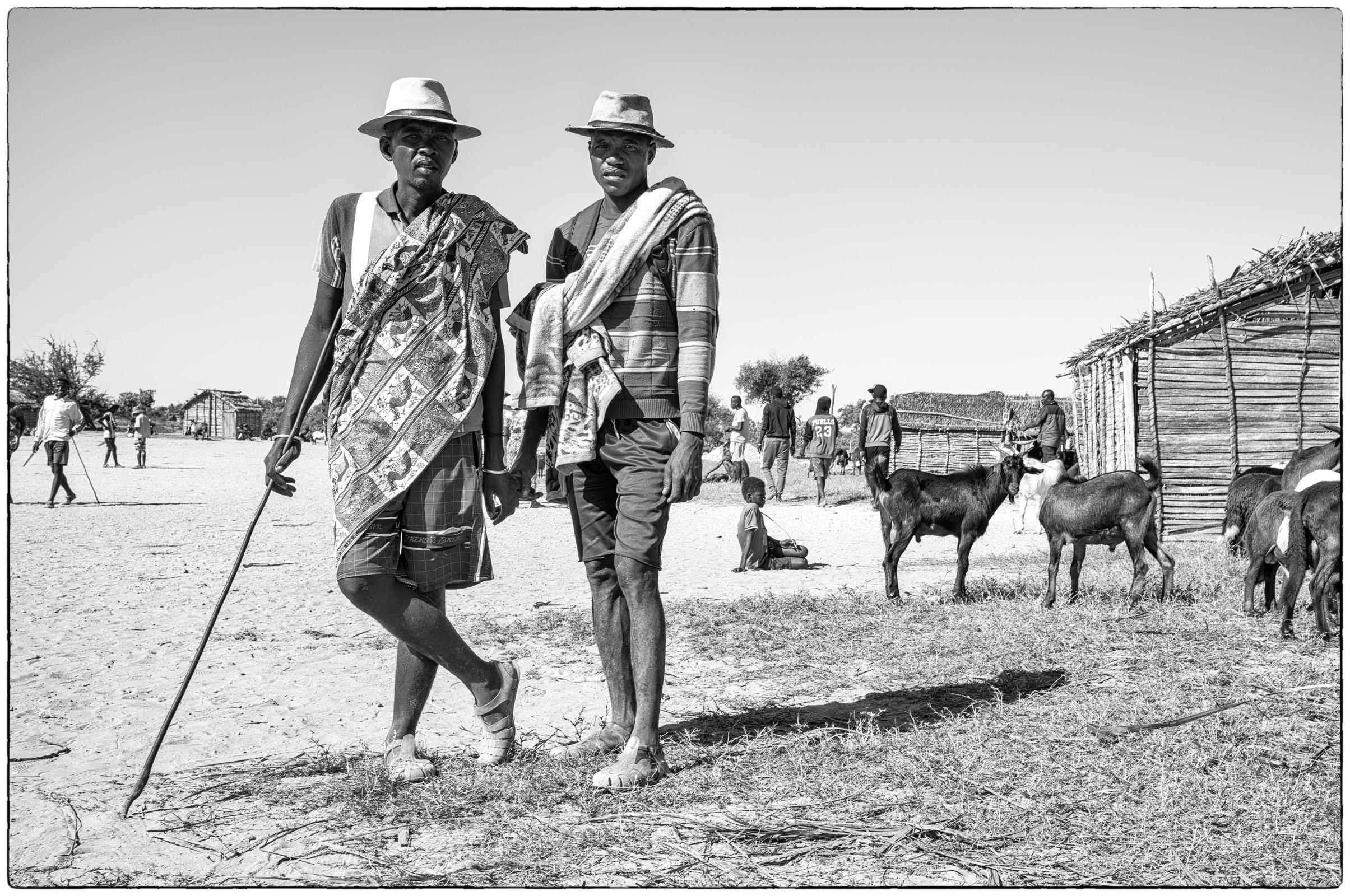 Les Gardiens de Zébu