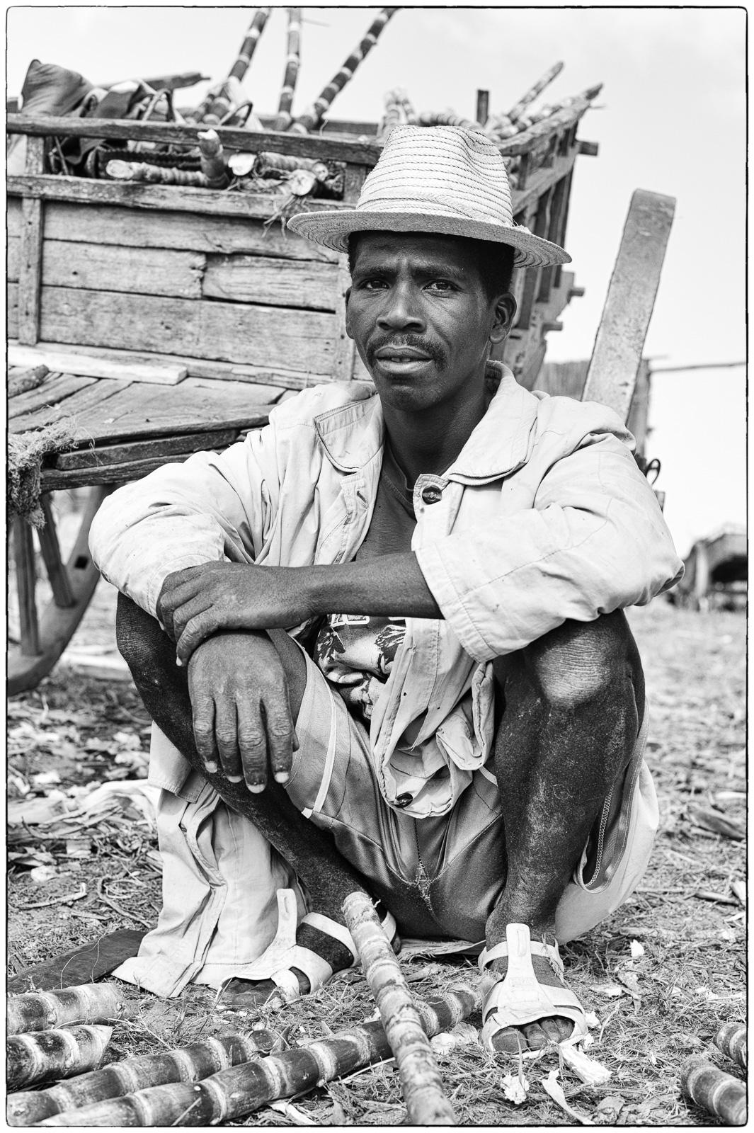 Le vendeur de cannes à sucre