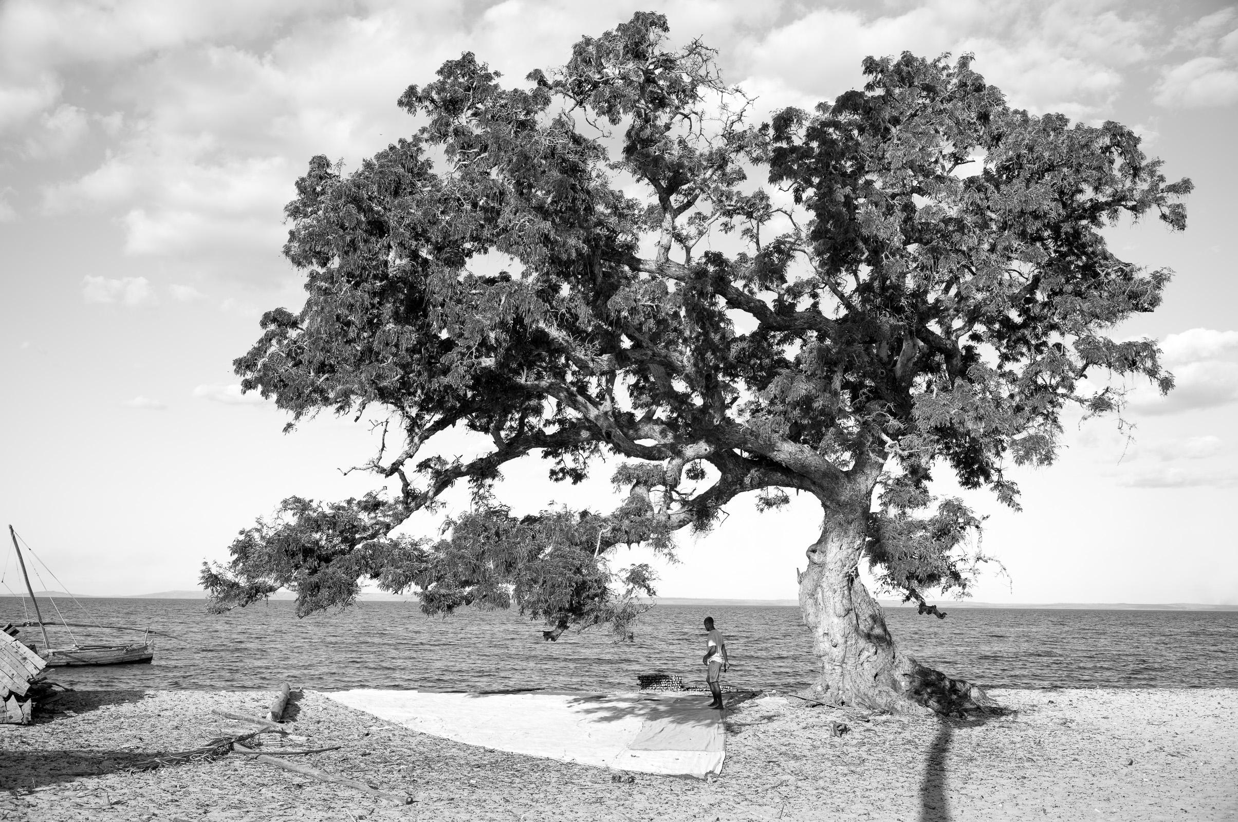 Solitaire Majestueux